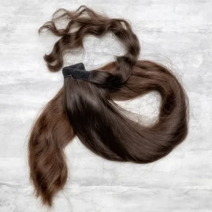 ponytail